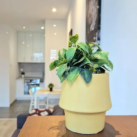 Czechowska Comfort Apartmán