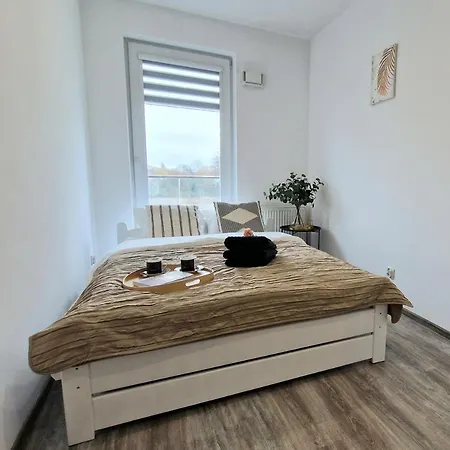 Czechowska Comfort *