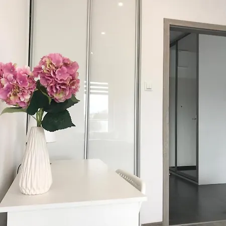 Czechowska Comfort 公寓 卢布林