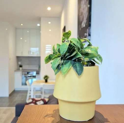 Czechowska Comfort Apartment