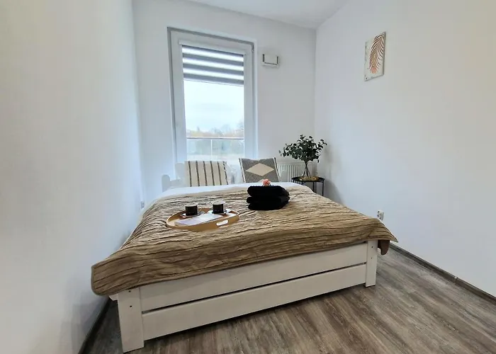 Czechowska Comfort *