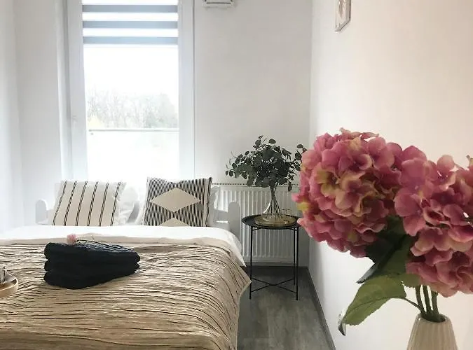 Czechowska Comfort * Lublin